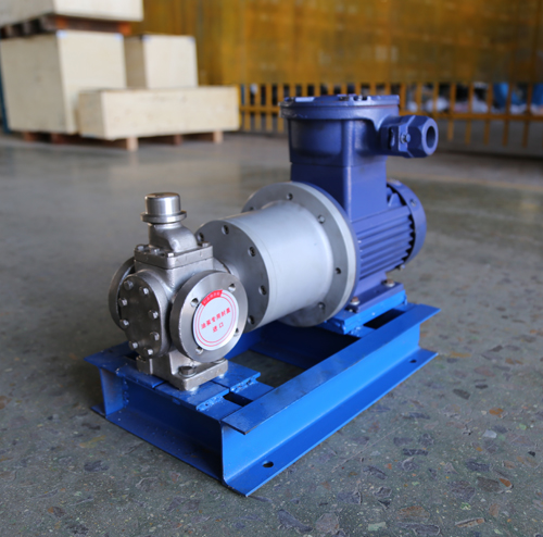 圓弧齒輪泵YCB10-1.6整機(jī)、配磁力聯(lián)軸器.JPG